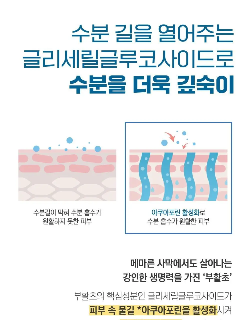 [더블기획/수부지맞춤] 라운드랩 자작나무 수분 크림 80ml 더블 기획 (+말랑 파우치) (눈멍이 콜라보) 상세페이지 13